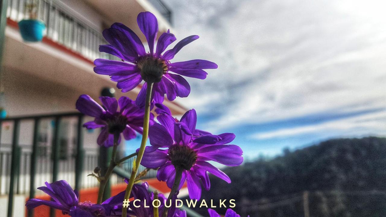 Cloudwalks Кодайканал Экстерьер фото